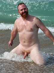 Amazing ginger bear Steve Ellis frolics on the beach